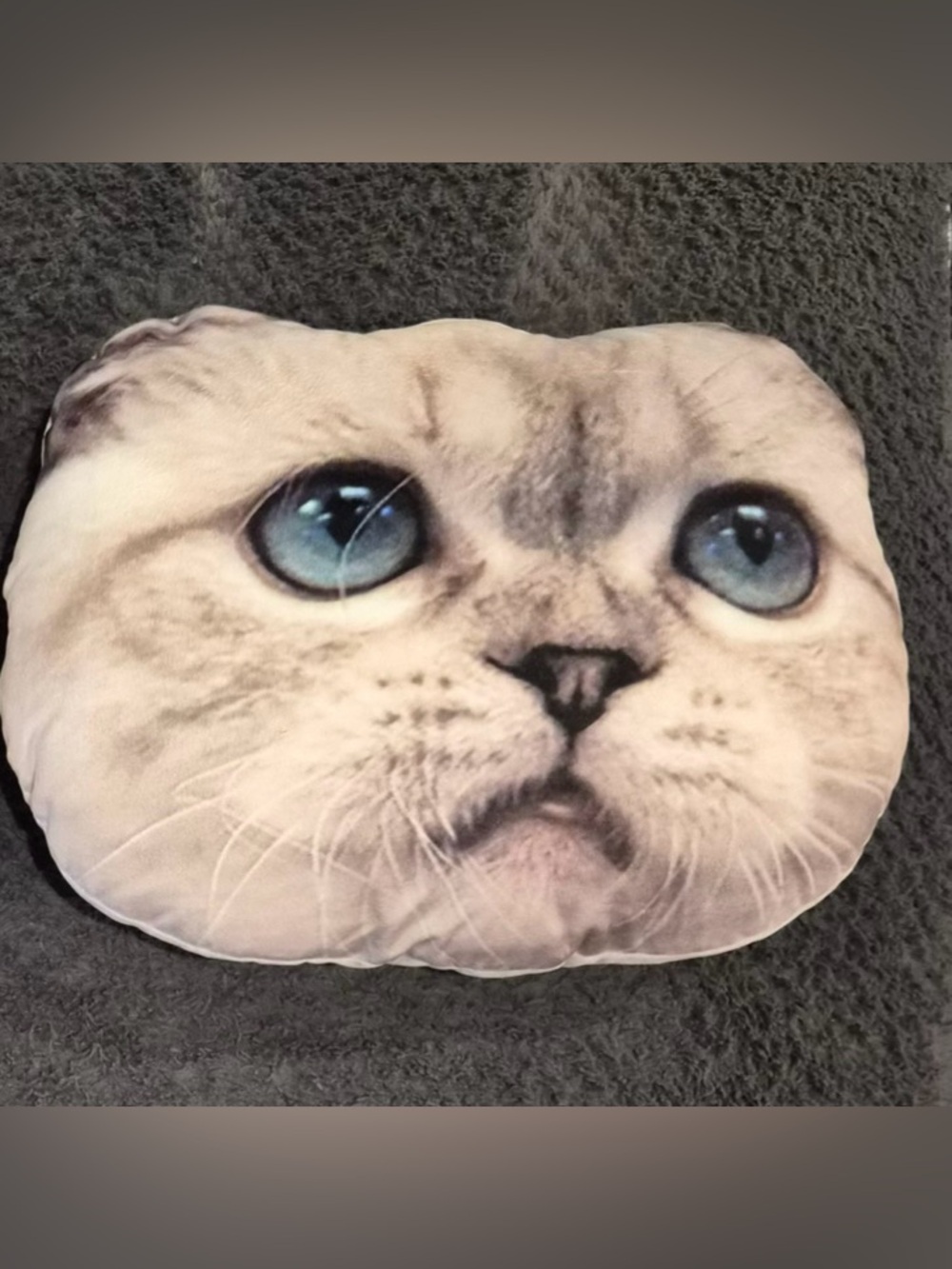 Taylor Swift Cream Cat Face Pillow with Blue Eyes